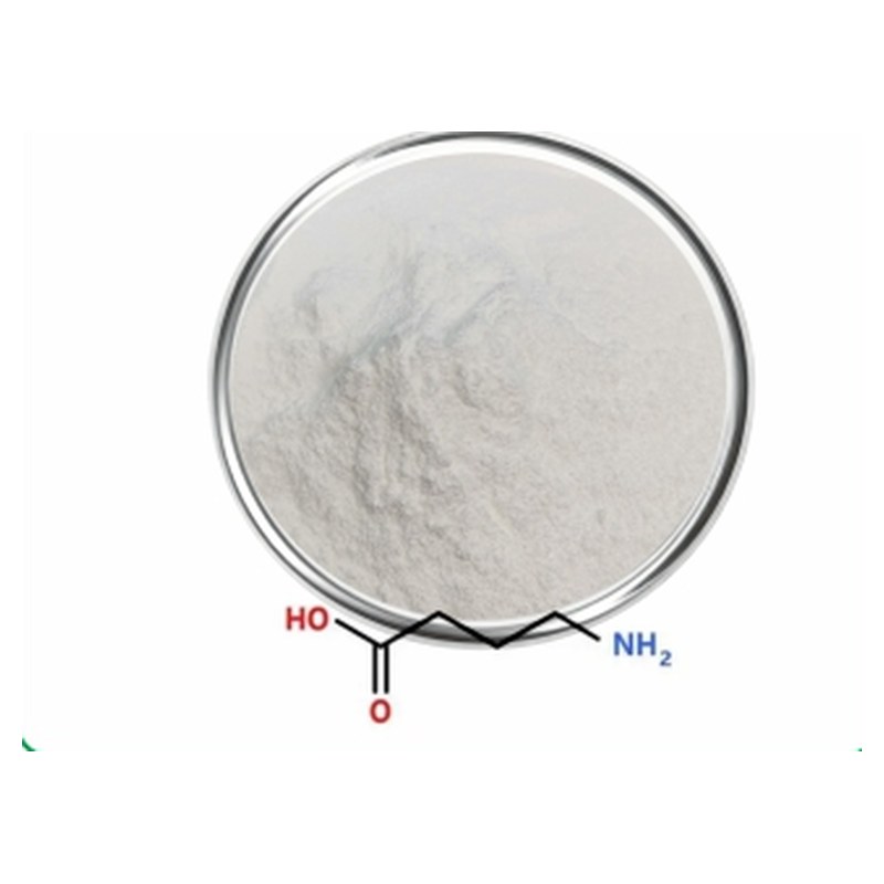 GABA powder