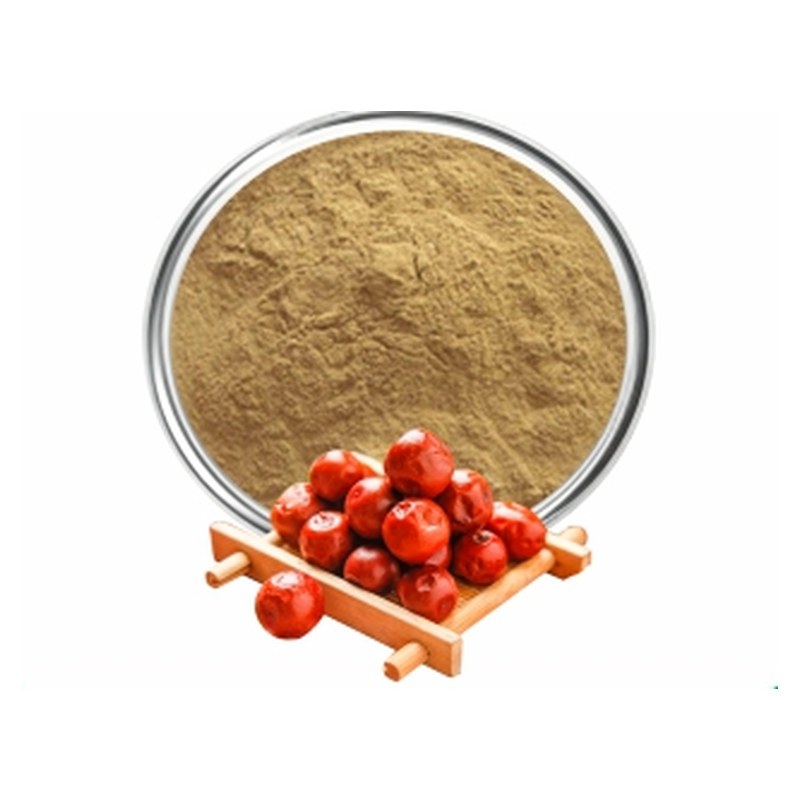 Spine Date Seed Extract product