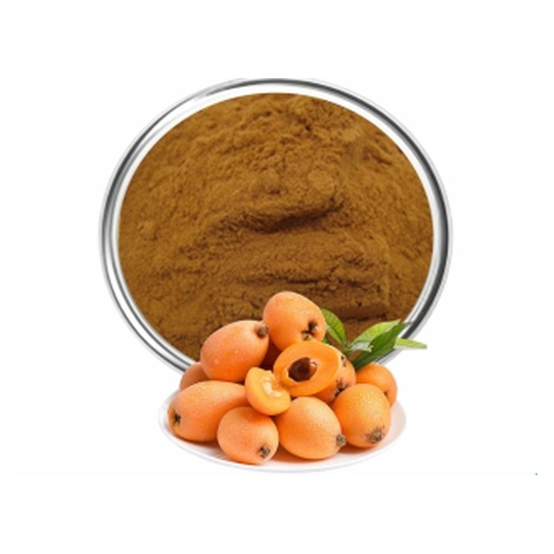 Loquat Leaf Extract