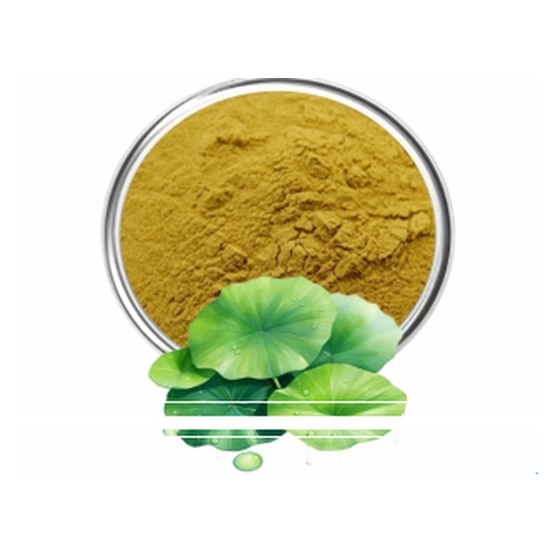 Lotus Leaf Extract