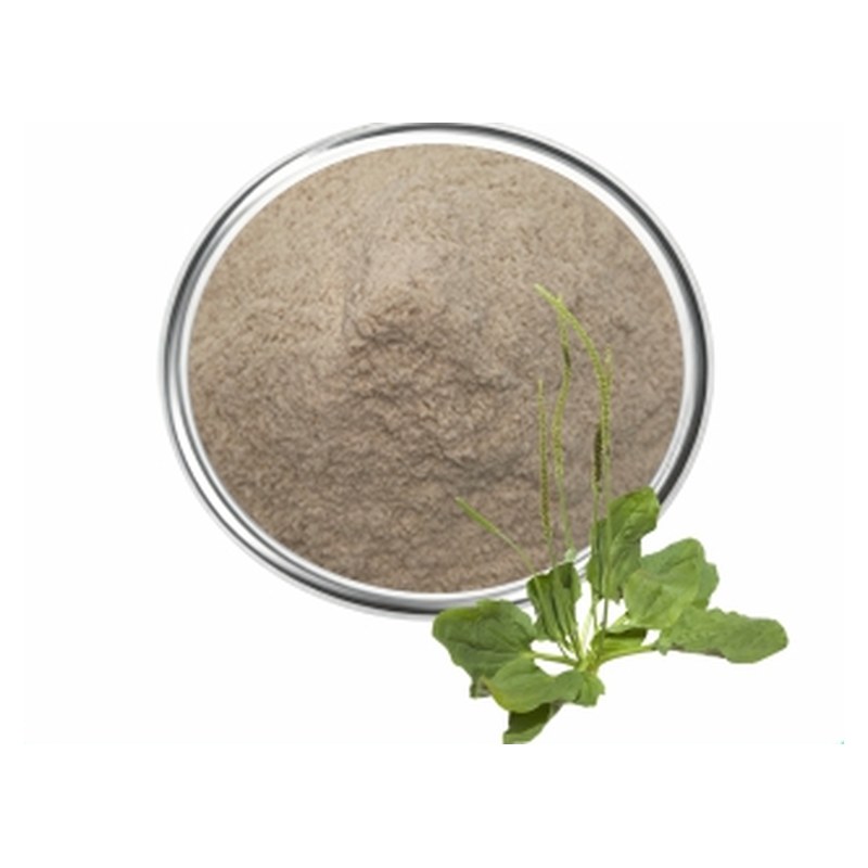 Psyllium Husk Powder