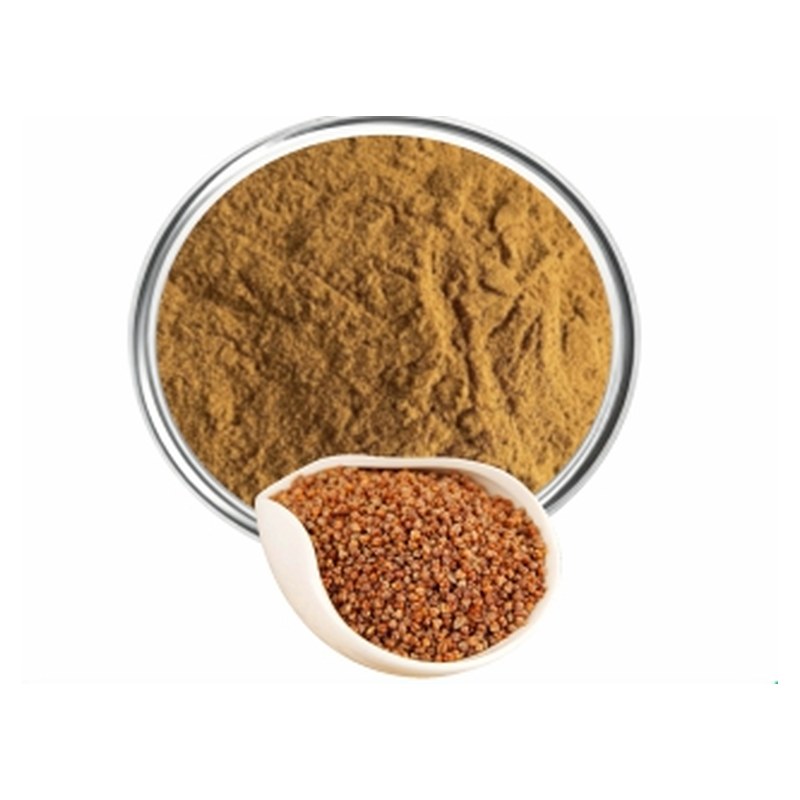 Tartary Buckwheat Extract